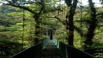 9-Day Best of Northwest Costa Rica San José: Arenal Volcano National Park, Mon