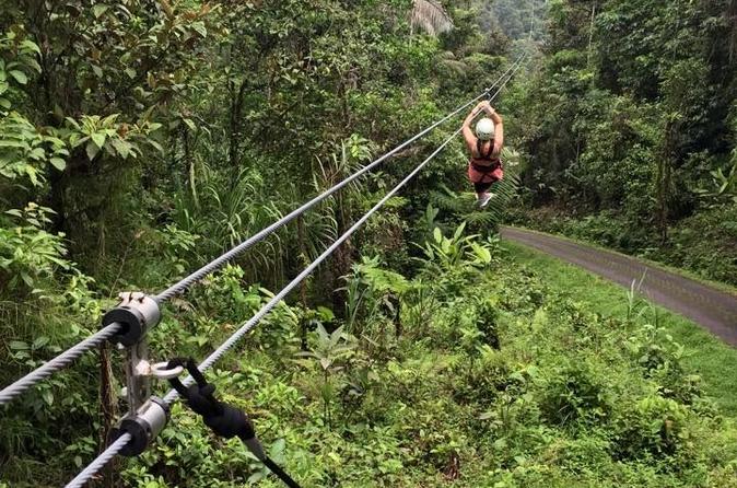 6-in-1 Tour: Rainforest Adventures Costa Rica - Image 6