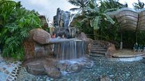 Arenal Volcano And Baldi Hot Springs Day Tour