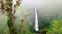 Arenal Volcano Full-Day Combo Tour with Lunch and Dinner
