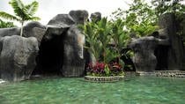 Arenal Volcano Lava Trail and Baldi Hot Springs with Dinner