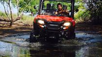 Beach And Mountain Buggy Tour In Guanacaste - Image 12