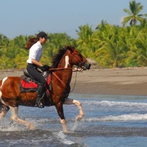 Beach Horseback Riding Adventure Near Jacó