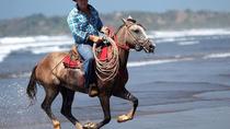 Beach Horseback Riding Adventure Near Jacó
