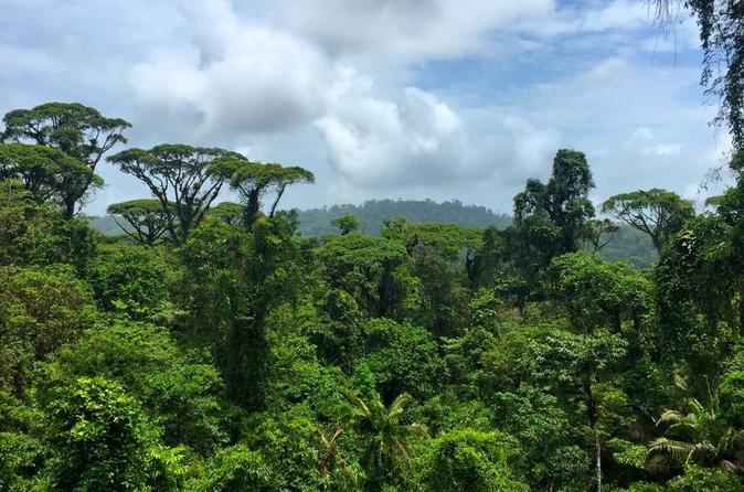 6-in-1 Tour: Rainforest Adventures Costa Rica - Image 8