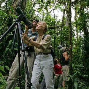 Birding San José