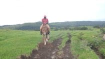 Borinquen Combo Horseback Riding And Canopy Tour