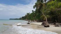 Cahuita National Park In The Caribbean Side Of Costa Rica Guided Hike And Exub