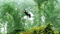 Canopy Day Trip Adventure in Monteverde