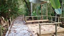 Carara National Park Tour