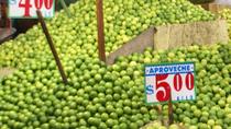 Cartago Day Trip by Rail San José: Bike Ride and Market Tour