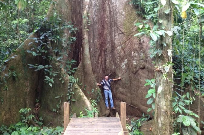 Cinco Ceibas Rainforest Reserve and Adventure Park San José