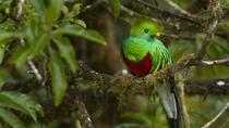 Cloud Forest Hike at Juan Castro Blanco National Park