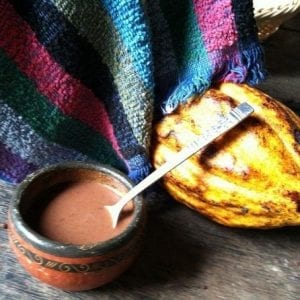 San José Tropical Rainforest Adventure Including Chocolate Tasting