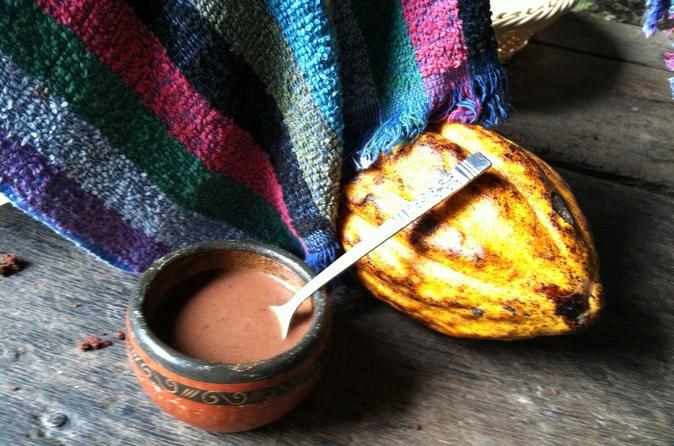 San José Tropical Rainforest Adventure Including Chocolate Tasting - Image 4