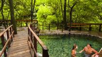 Combo Day Trip: Zip line, Hot Springs And Horseback Riding - Image 2