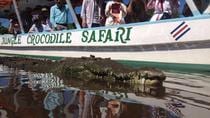 Crocodile River Cruise Jacó
