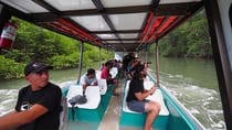 Crocodile Tour