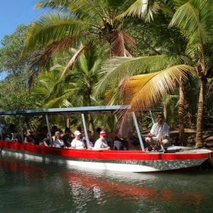 Damas Island Mangrove Boat Jacó