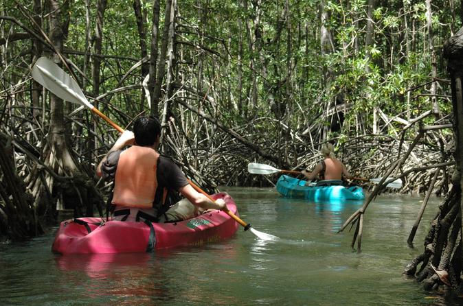 Damas Island Mangrove Kayaking Jac–