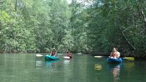 Damas Island Mangrove Kayaking Jac–