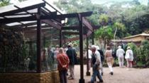 Day Trip to Irazu Volcano, Oros Valley and Lankester Gardens