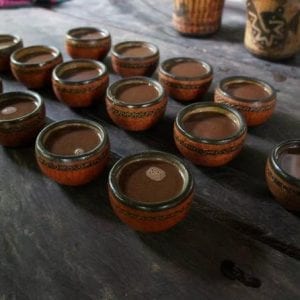 San José Tropical Rainforest Adventure Including Chocolate Tasting