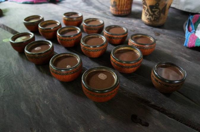 San José Tropical Rainforest Adventure Including Chocolate Tasting - Image 5