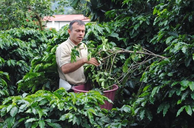 Costa Rica Day Trip San José - Image 14