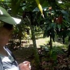 Don Olivo Chocolate La Fortuna