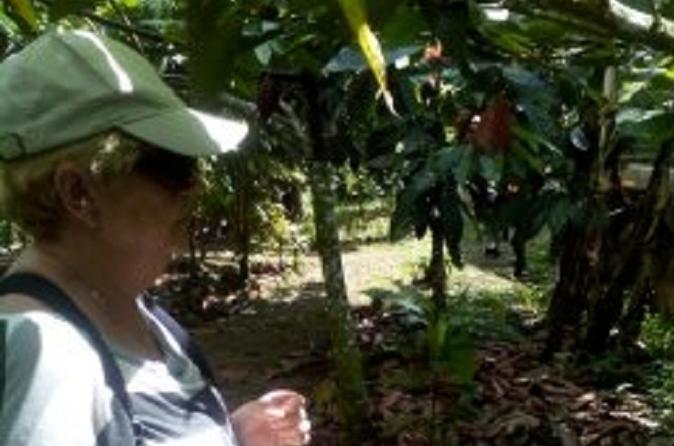 Don Olivo Chocolate La Fortuna