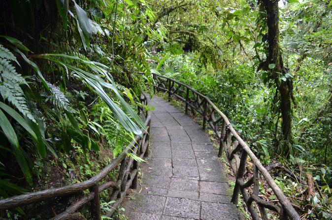 Costa Rica Day Trip San José - Image 16