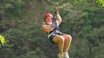 Essential Costa Rica: 8-Day Tour