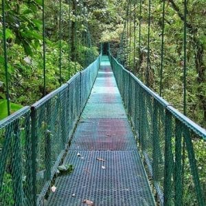Full Day Monteverde San José Hanging Bridge and Reptile Amphibians Watching