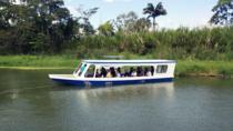 Full-Day Tour To Cahuita National Park Puerto Limón