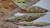 Half Day Costa Rica Punta Arenas Highlights Small Group Tour