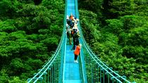 Half-Day Monteverde Zipline, Rainforest Canopy and Hanging Bridges Tour