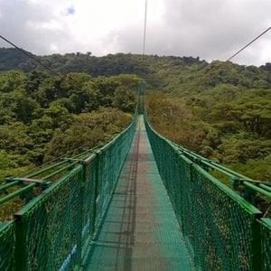 Hanging Bridges 2-hour Monteverde