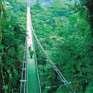 Hanging Bridges and Insect Museum Monteverde