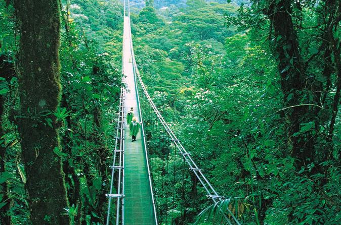 Hanging Bridges and Insect Museum Monteverde
