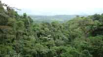 Hanging Bridges and La Fortuna Waterfall Nature Hike