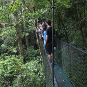 Hanging Bridges Tour at 100% Aventura Park
