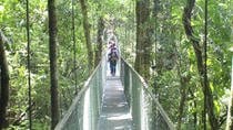 Hanging Bridges Tour at 100% Aventura Park