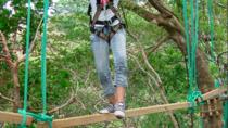 High Ropes and Hanging Bridges Tour at Adventure Park Costa Rica