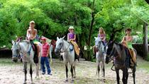 Horseback Riding Jungle And Beach In Playa Flamingo