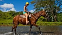 Horseback River Tour in Jacó