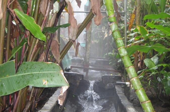 Arenal Volcano and Baldi Hot Springs Day Trip San José - Image 16