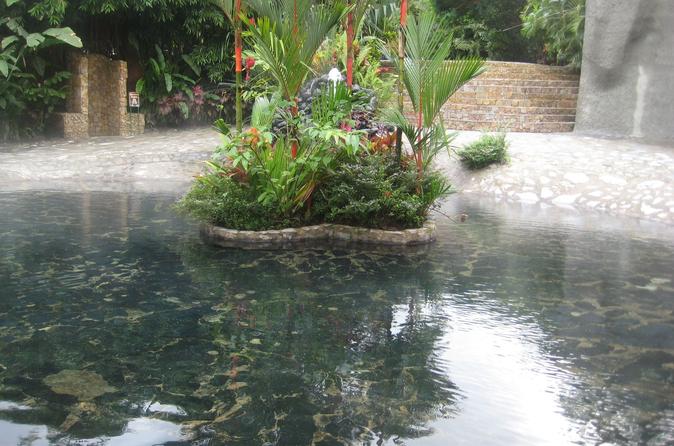 Arenal Volcano and Baldi Hot Springs Day Trip San José - Image 17