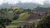 Irazu Volcano, Orosi Valley and Lankester - Image 7