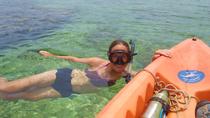 Kayak And Snorkel Flamingo Beach